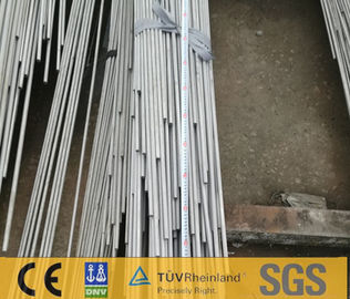 Bolier Small Diameter Stainless Steel Tubing With Cold Drawing Process Tp316l